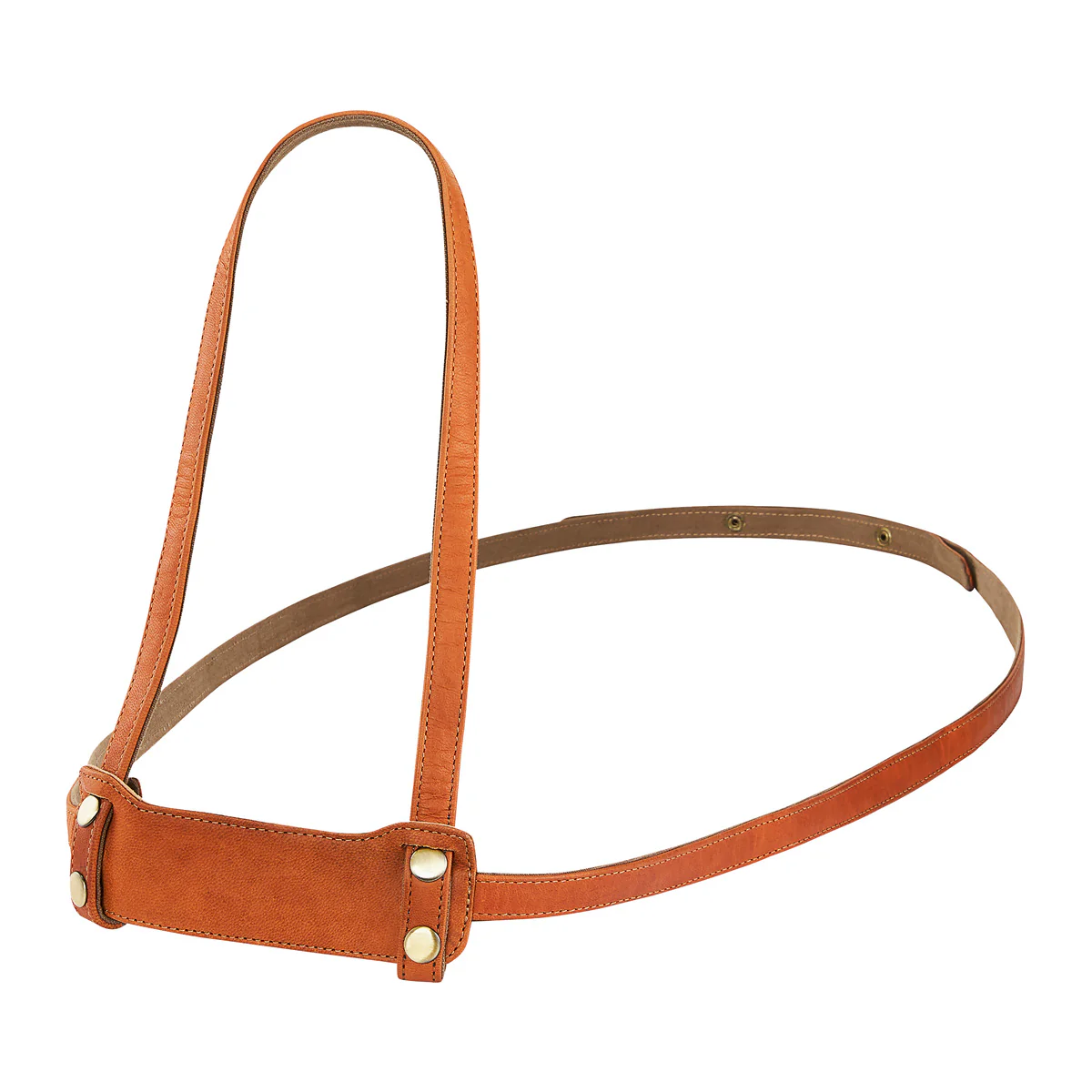 Ines - Image 2