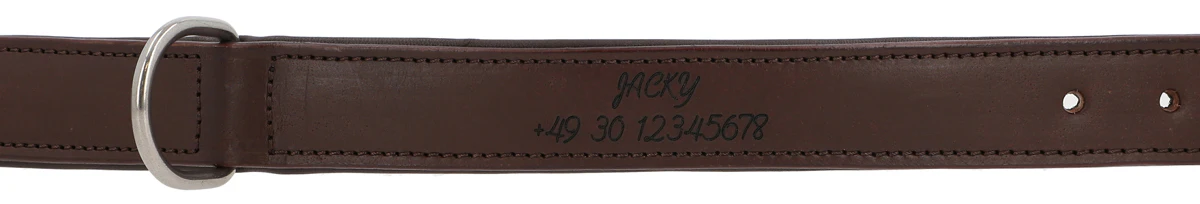 Jacky - Image 9