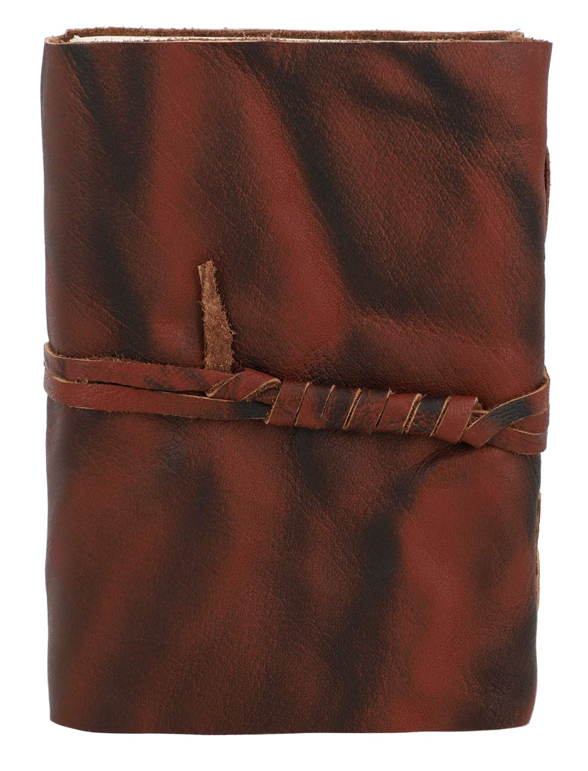 Elsie - Image 6