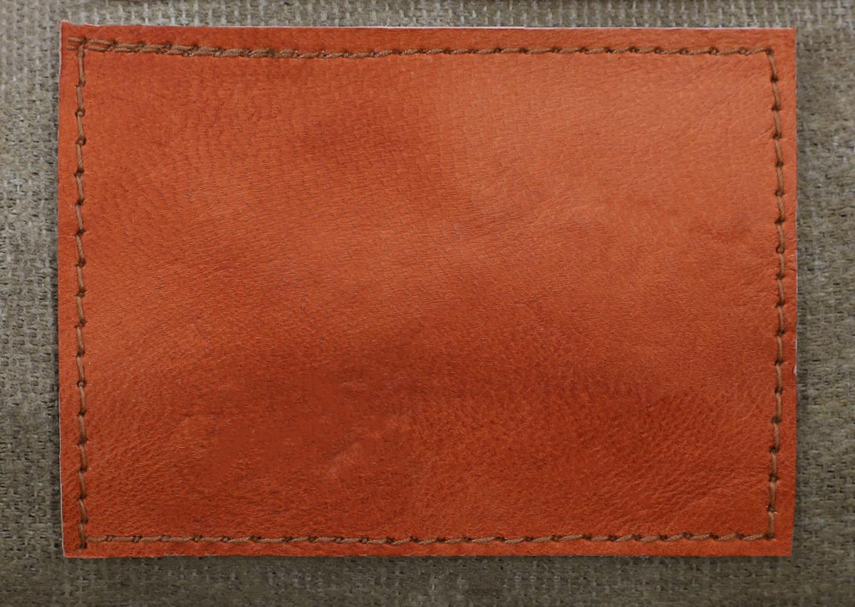 Claire - Image 7