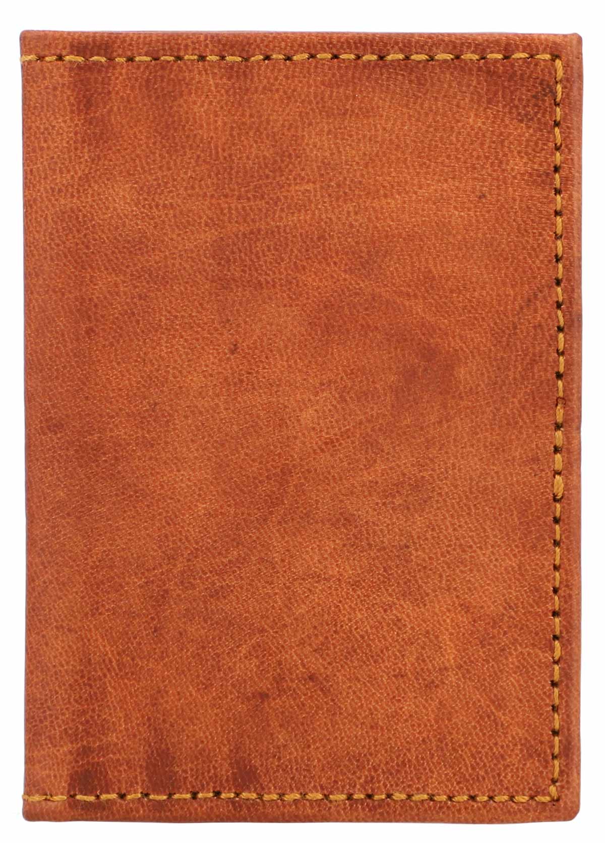 Jan - Image 5
