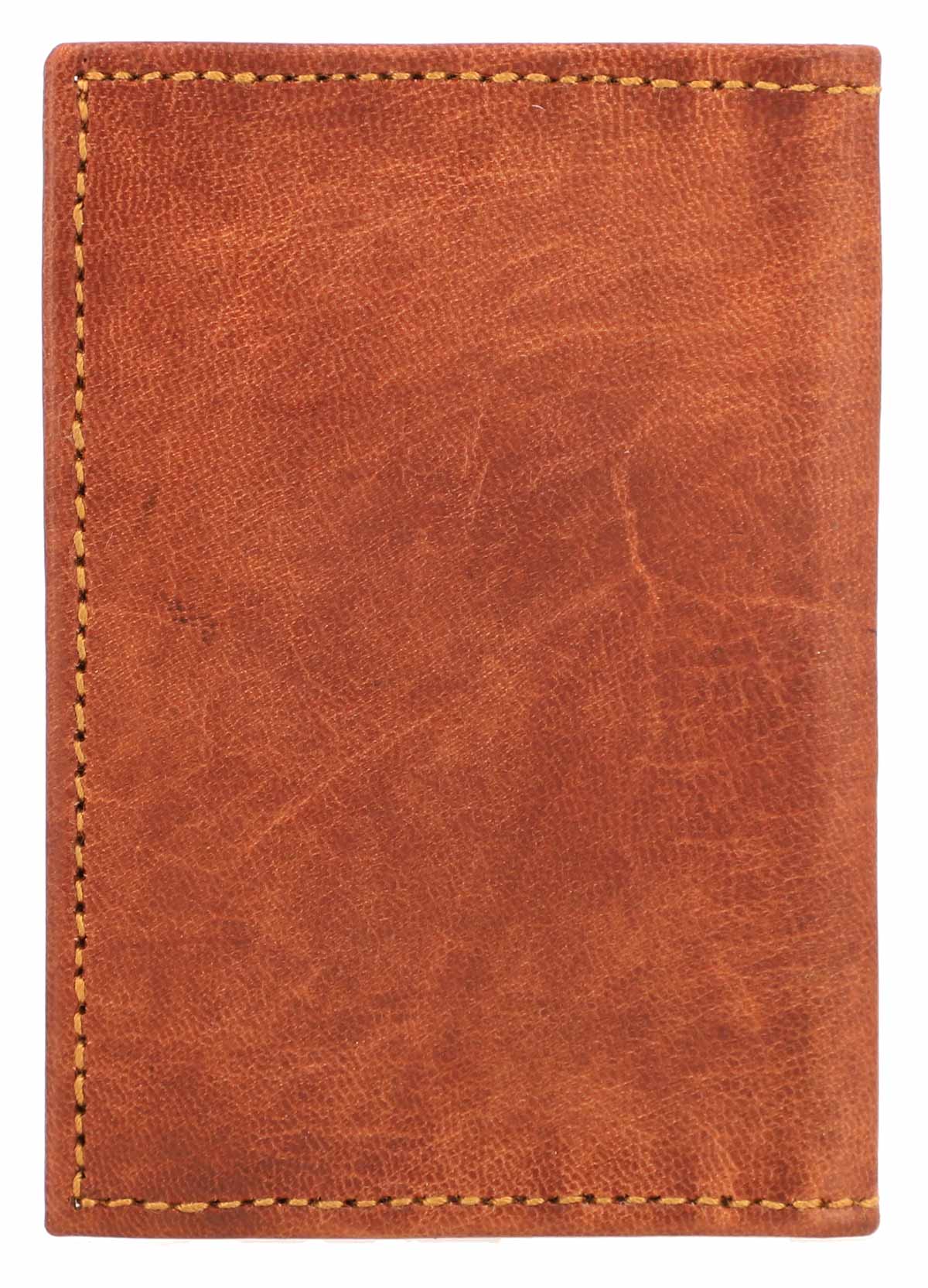 Jan - Image 6