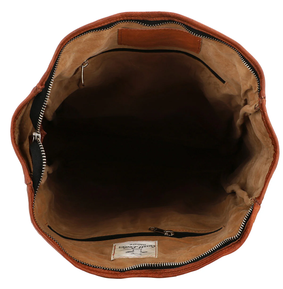 Milo - Image 6
