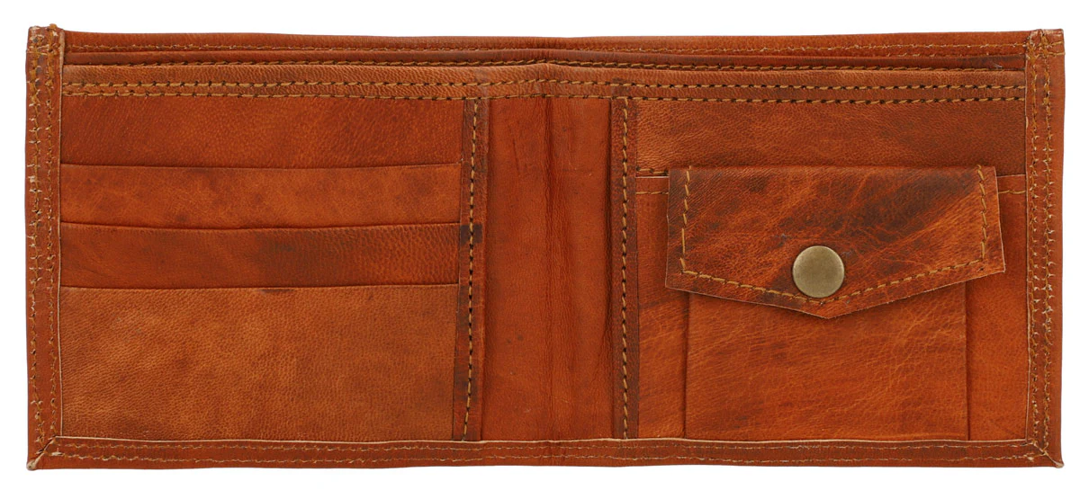 Joey - Image 14