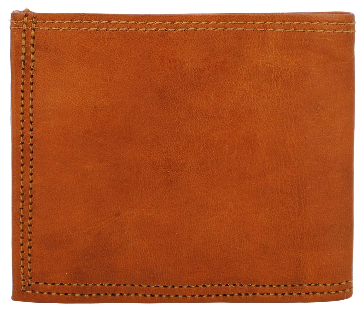 Joey - Image 13