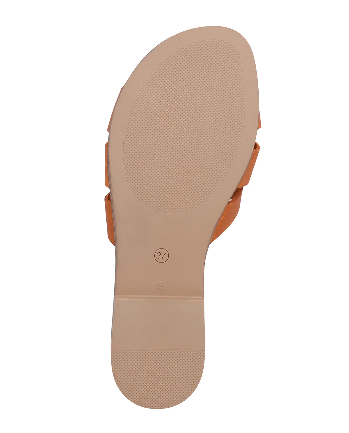 Tine - Image 11